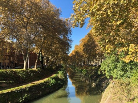 Toulouse Immobilier - Canal de Brienne