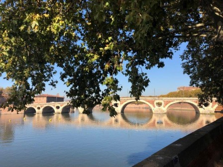 Toulouse Immobilier - Pont Neuf